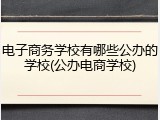 电子商务学校有哪些公办的学校(公办电商学校)