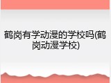 鹤岗有学动漫的学校吗(鹤岗动漫学校)