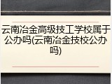 云南冶金高级技工学校属于公办吗(云南冶金技校公办吗)