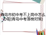 青岛市初中考不上高中怎么办呢(青岛中考落榜对策)