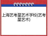 上海艺考星艺术学校(艺考星艺术)