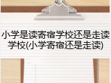 小学是读寄宿学校还是走读学校(小学寄宿还是走读)