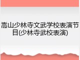 嵩山少林寺文武学校表演节目(少林寺武校表演)