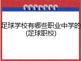 足球学校有哪些职业中学的(足球职校)