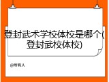 登封武术学校体校是哪个(登封武校体校)