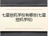 七星挖机学校有哪些(七星挖机学校)