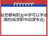 哈密哪有职业中学可以学动漫的(哈密职中动漫专业)