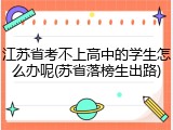 江苏省考不上高中的学生怎么办呢(苏省落榜生出路)