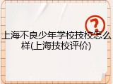 上海不良少年学校技校怎么样(上海技校评价)