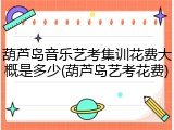 葫芦岛音乐艺考集训花费大概是多少(葫芦岛艺考花费)