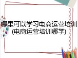 哪里可以学习电商运营培训(电商运营培训哪学)