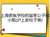 上海贵族学校的富家公子和小姐(沪上豪校子弟)