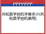 共和县学挖机学费多少(共和县学挖机费用)