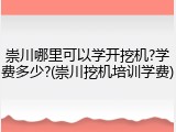 崇川哪里可以学开挖机?学费多少?(崇川挖机培训学费)