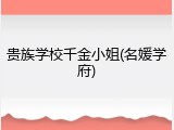 贵族学校千金小姐(名媛学府)