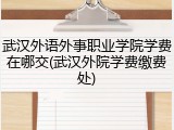 武汉外语外事职业学院学费在哪交(武汉外院学费缴费处)