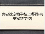 兴安找宠物学校上哪找(兴安宠物学校)