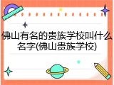 佛山有名的贵族学校叫什么名字(佛山贵族学校)