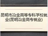 昆明市冶金高等专科学校就业(昆明冶金高专就业)