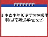 湖南青少年叛逆学校在哪里啊(湖南叛逆学校地址)