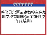 呼伦贝尔阿荣旗数控车床培训学校有哪些(阿荣旗数控车床培训)