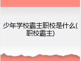 少年学校霸主职校是什么(职校霸主)