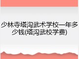 少林寺塔沟武术学校一年多少钱(塔沟武校学费)