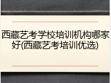西藏艺考学校培训机构哪家好(西藏艺考培训优选)