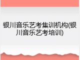 银川音乐艺考集训机构(银川音乐艺考培训)