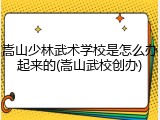 嵩山少林武术学校是怎么办起来的(嵩山武校创办)