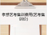 孝感艺考集训费用(艺考集训价)