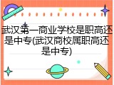 武汉第一商业学校是职高还是中专(武汉商校属职高还是中专)