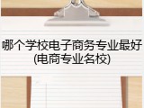 哪个学校电子商务专业最好(电商专业名校)