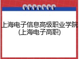 上海电子信息高级职业学院(上海电子高职)
