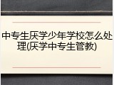 中专生厌学少年学校怎么处理(厌学中专生管教)