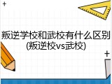 叛逆学校和武校有什么区别(叛逆校vs武校)