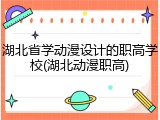湖北省学动漫设计的职高学校(湖北动漫职高)