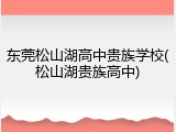 东莞松山湖高中贵族学校(松山湖贵族高中)