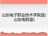 山东电子职业技术学院章(山东电院章)