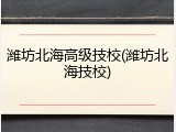 潍坊北海高级技校(潍坊北海技校)