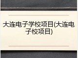 大连电子学校项目(大连电子校项目)