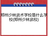 郑州少林武术学校是什么学校(郑州少林武校)