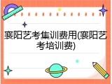 襄阳艺考集训费用(襄阳艺考培训费)