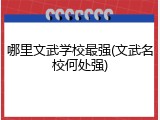 哪里文武学校最强(文武名校何处强)