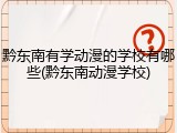 黔东南有学动漫的学校有哪些(黔东南动漫学校)