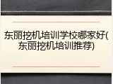 东丽挖机培训学校哪家好(东丽挖机培训推荐)