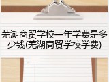 芜湖商贸学校一年学费是多少钱(芜湖商贸学校学费)