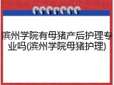 滨州学院有母猪产后护理专业吗(滨州学院母猪护理)