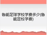 鲁能足球学校学费多少(鲁能足校学费)