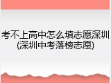 考不上高中怎么填志愿深圳(深圳中考落榜志愿)